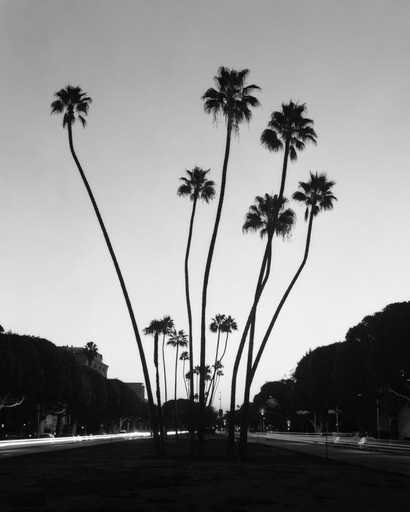 Marie-Jose Jongerius Los Angeles black and white photography